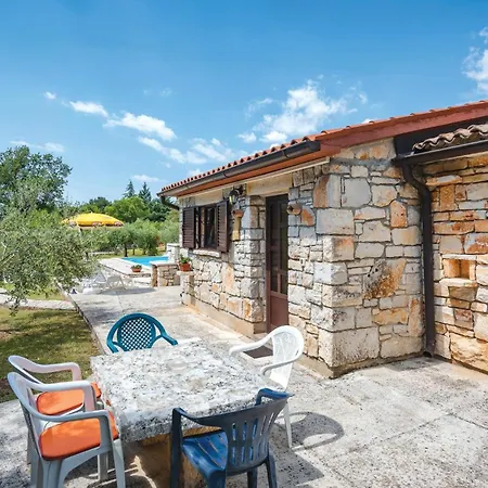 Amazing In With Outdoor Swimming Pool *